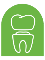Caracteristicas dental 2